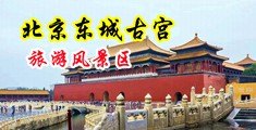 看美女操逼中国北京-东城古宫旅游风景区